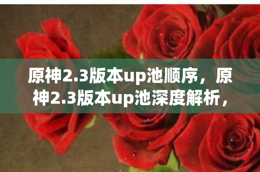 原神2.3版本up池顺序，原神2.3版本up池深度解析，角色与武器搭配的完美策略