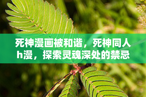 死神漫画被和谐，死神同人h漫，探索灵魂深处的禁忌之恋