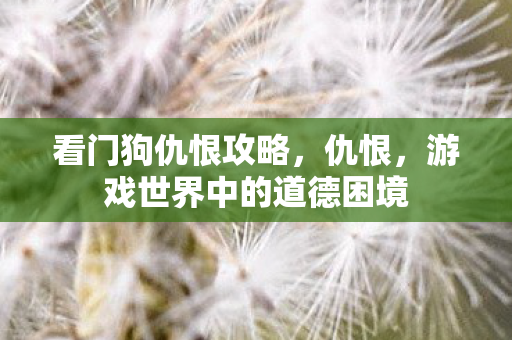 看门狗仇恨攻略，仇恨，游戏世界中的道德困境