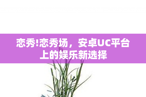 恋秀!恋秀场，安卓UC平台上的娱乐新选择