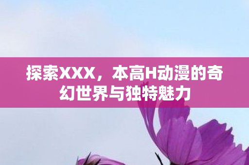 探索XXX，本高H动漫的奇幻世界与独特魅力