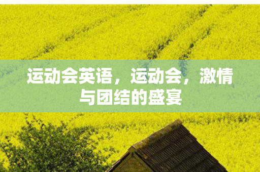 运动会英语，运动会，激情与团结的盛宴