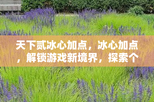 天下贰冰心加点,冰心加点,解锁游戏新境界,探索个性化成长之路 天下贰冰心加点,冰心加点,解锁游戏新境界,探索个性化成长之路