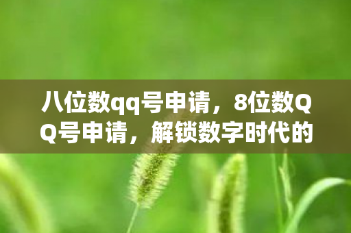 八位数qq号申请，8位数QQ号申请，解锁数字时代的个性与便利