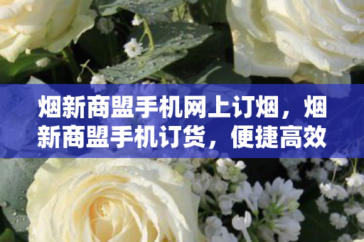 烟新商盟手机网上订烟，烟新商盟手机订货，便捷高效的烟草订货新体验