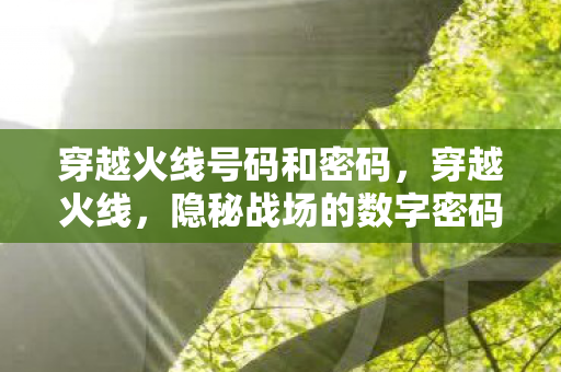穿越火线号码和密码，穿越火线，隐秘战场的数字密码