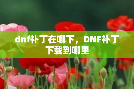 dnf补丁在哪下，DNF补丁下载到哪里
