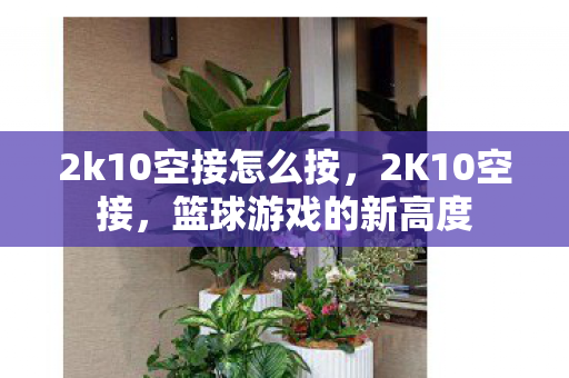2k10空接怎么按，2K10空接，篮球游戏的新高度