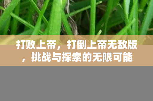 打败上帝，打倒上帝无敌版，挑战与探索的无限可能