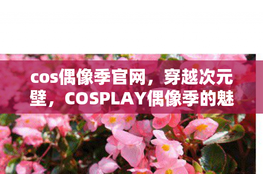 cos偶像季官网，穿越次元壁，COSPLAY偶像季的魅力探索