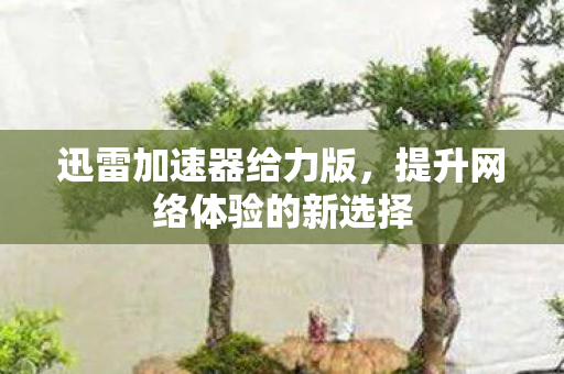 迅雷加速器给力版，提升网络体验的新选择