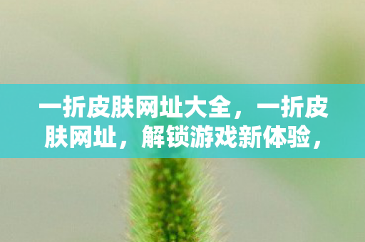 一折皮肤网址大全，一折皮肤网址，解锁游戏新体验，尽享优惠与乐趣