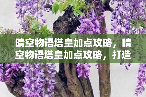 晴空物语塔皇加点攻略，晴空物语塔皇加点攻略，打造最强角色，征服天际