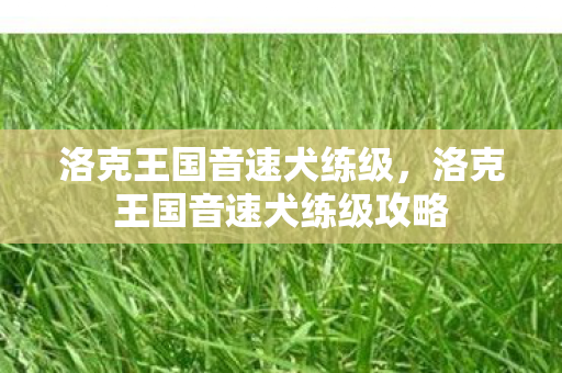 洛克王国音速犬练级，洛克王国音速犬练级攻略