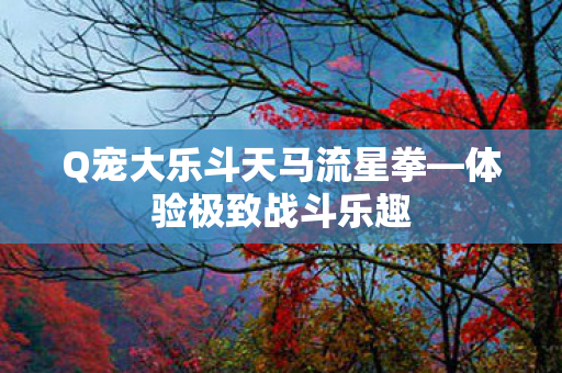 Q宠大乐斗天马流星拳—体验极致战斗乐趣