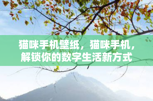 猫咪手机壁纸，猫咪手机，解锁你的数字生活新方式