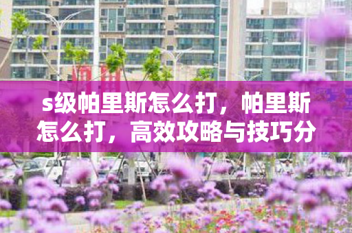 s级帕里斯怎么打，帕里斯怎么打，高效攻略与技巧分享