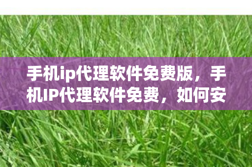 手机ip代理软件免费版，手机IP代理软件免费，如何安全、合法地获取与使用