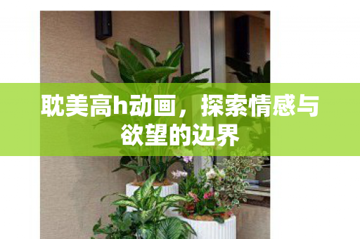 耽美高h动画，探索情感与欲望的边界