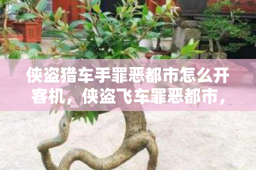 侠盗猎车手罪恶都市怎么开客机，侠盗飞车罪恶都市，解锁客机驾驶技巧