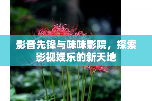 影音先锋与咪咪影院，探索影视娱乐的新天地
