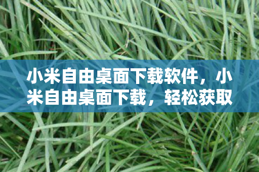 小米自由桌面下载软件,小米自由桌面下载,轻松获取个性化桌面体验 小米自由桌面下载软件,小米自由桌面下载,轻松获取个性化桌面体验