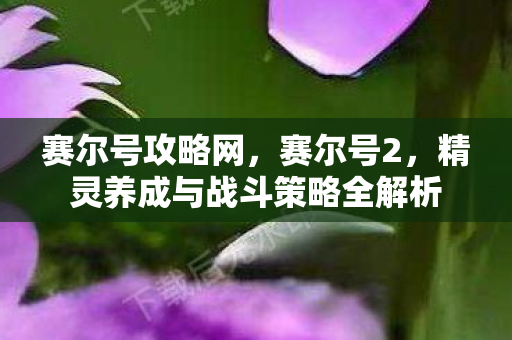赛尔号攻略网,赛尔号2,精灵养成与战斗策略全解析 赛尔号攻略网,赛尔号2,精灵养成与战斗策略全解析