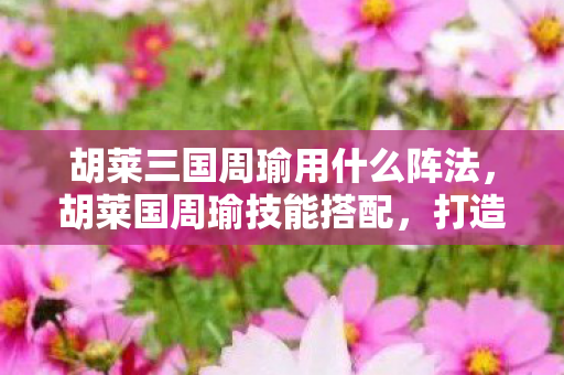 胡莱三国周瑜用什么阵法，胡莱国周瑜技能搭配，打造最强策略战将