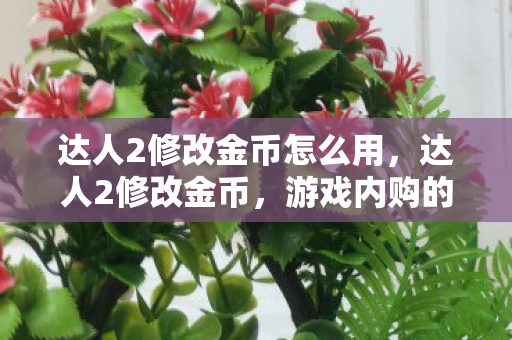 达人2修改金币怎么用,达人2修改金币,游戏内购的灰色地带与合规性探讨 达人2修改金币怎么用,达人2修改金币,游戏内购的灰色地带与合规性探讨