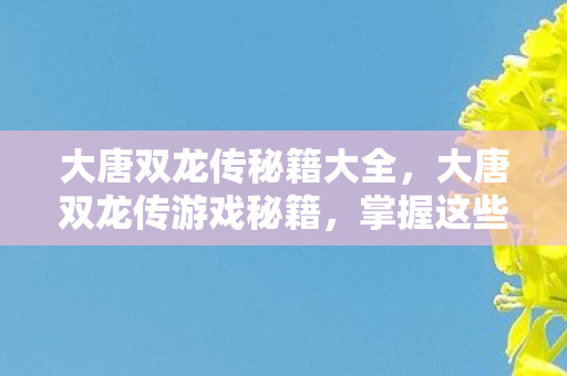 大唐双龙传秘籍大全，大唐双龙传游戏秘籍，掌握这些技巧，助你称霸江湖