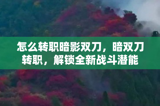 怎么转职暗影双刀，暗双刀转职，解锁全新战斗潜能