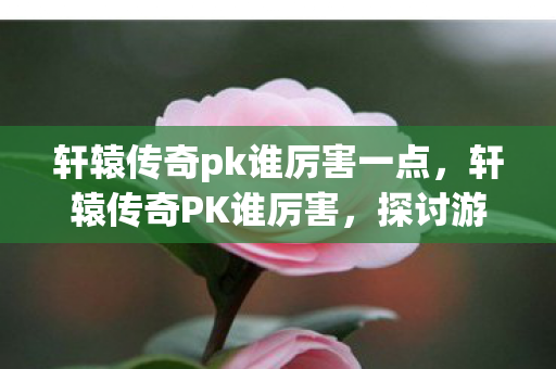 轩辕传奇pk谁厉害一点，轩辕传奇PK谁厉害，探讨游戏内角色实力与策略