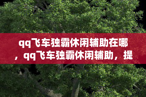 qq飞车独霸休闲辅助在哪，qq飞车独霸休闲辅助，提升游戏体验的利器