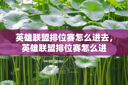 英雄联盟排位赛怎么进去,英雄联盟排位赛怎么进 英雄联盟排位赛怎么进去,英雄联盟排位赛怎么进