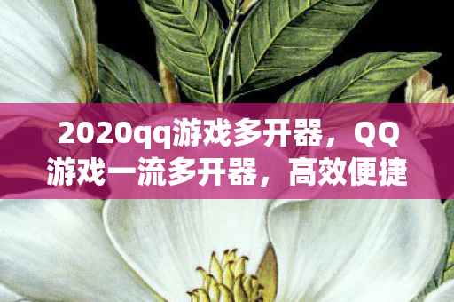 2020qq游戏多开器,QQ游戏一流多开器,高效便捷的游戏体验 2020qq游戏多开器,QQ游戏一流多开器,高效便捷的游戏体验