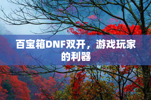 百宝箱DNF双开，游戏玩家的利器