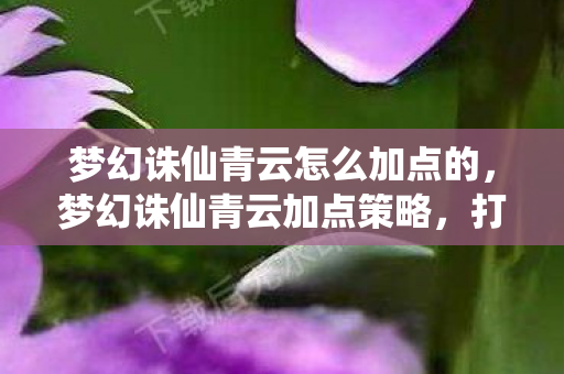 梦幻诛仙青云怎么加点的，梦幻诛仙青云加点策略，打造最强输出角色