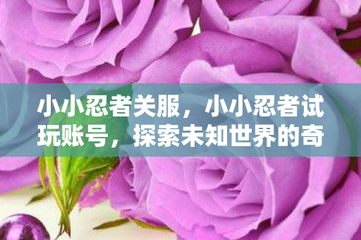 小小忍者关服，小小忍者试玩账号，探索未知世界的奇妙之旅