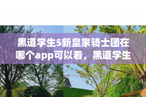 黑道学生5新皇家骑士团在哪个app可以看,黑道学生5皇骑士,探寻游戏世界的权力与荣耀 黑道学生5新皇家骑士团在哪个app可以看,黑道学生5皇骑士,探寻游戏世界的权力与荣耀