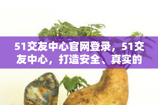 51交友中心官网登录，51交友中心，打造安全、真实的社交平台