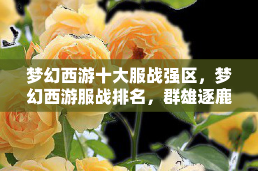 梦幻西游十大服战强区，梦幻西游服战排名，群雄逐鹿，谁主沉浮？