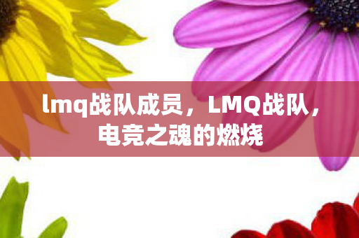 lmq战队成员，LMQ战队，电竞之魂的燃烧