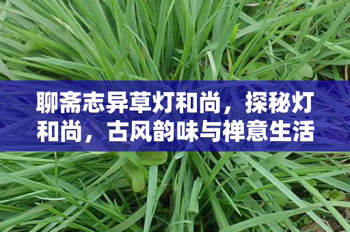 聊斋志异草灯和尚，探秘灯和尚，古风韵味与禅意生活的完美融合