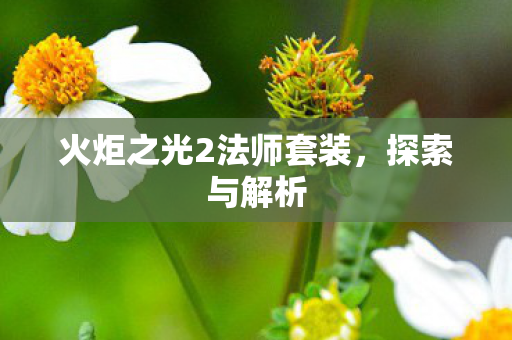火炬之光2法师套装,探索与解析 火炬之光2法师套装,探索与解析
