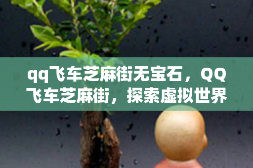 qq飞车芝麻街无宝石，QQ飞车芝麻街，探索虚拟世界的无限可能