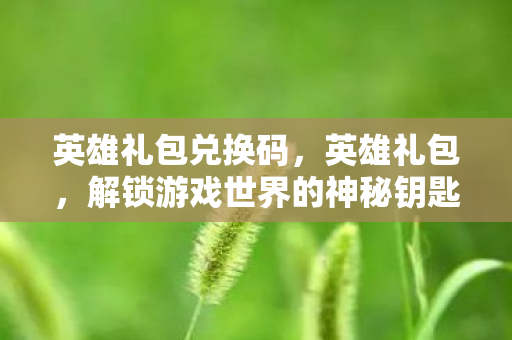 英雄礼包兑换码，英雄礼包，解锁游戏世界的神秘钥匙