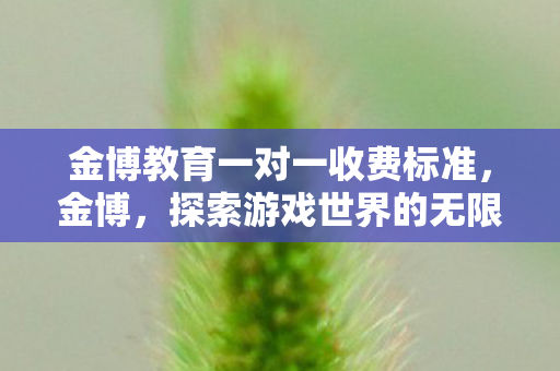 金博教育一对一收费标准，金博，探索游戏世界的无限可能