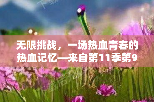 无限挑战,一场热血青春的热血记忆—来自第11季第9期的挑战之旅 无限挑战,一场热血青春的热血记忆—来自第11季第9期的挑战之旅