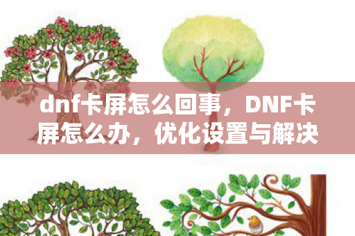 dnf卡屏怎么回事，DNF卡屏怎么办，优化设置与解决策略