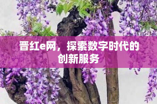 晋红e网，探索数字时代的创新服务